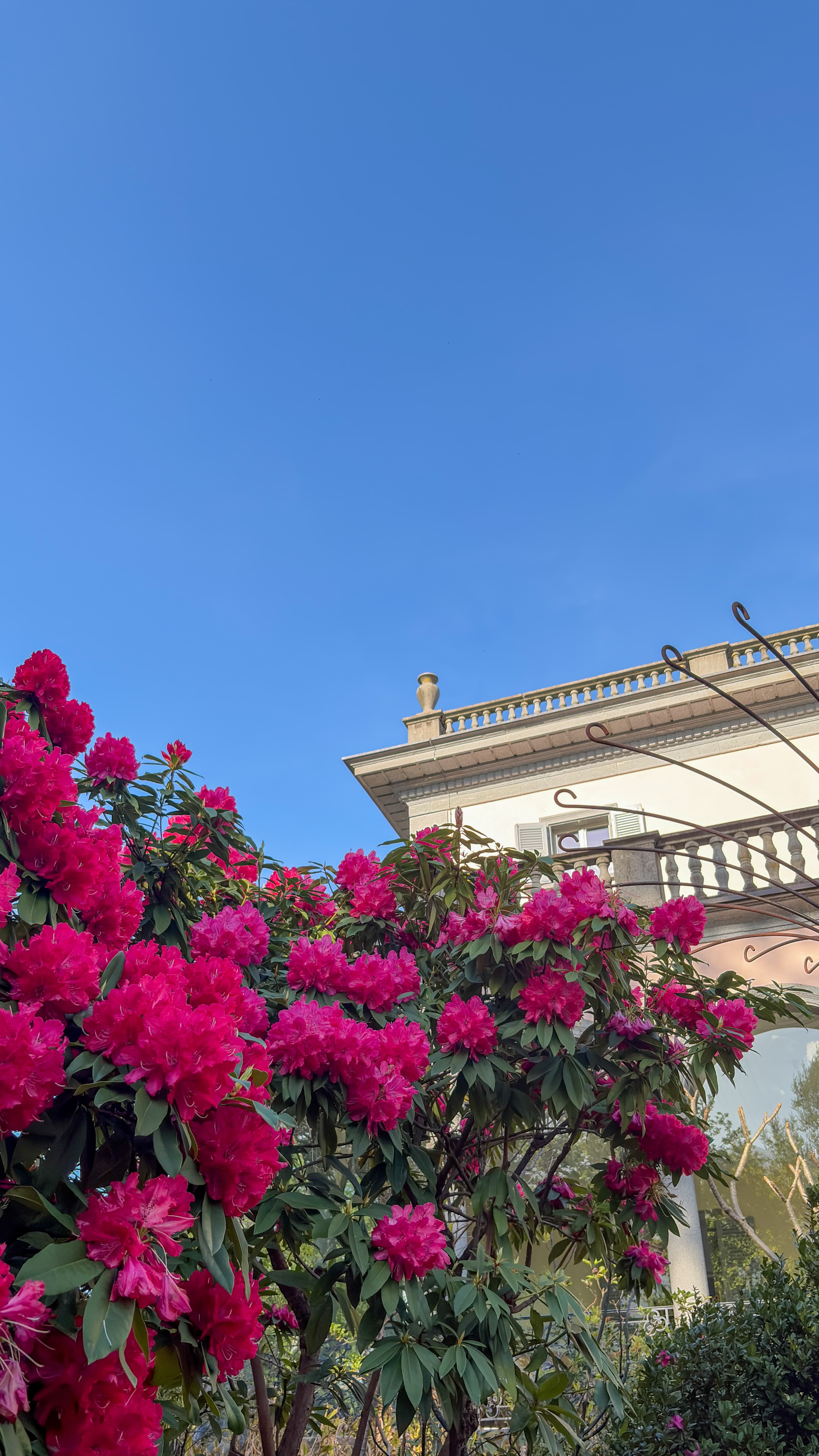 Villa Emden surrounded by Mediterranean gardens